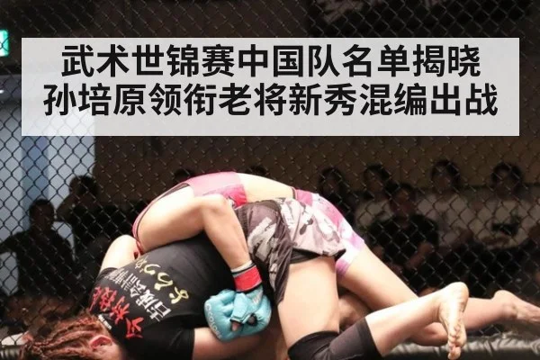 武术世锦赛中国队名单揭晓 孙培原领衔老将新秀混编出战